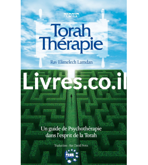 Torah Thérapie - Un guide de psychotérapie dans l'esprit de la Torah